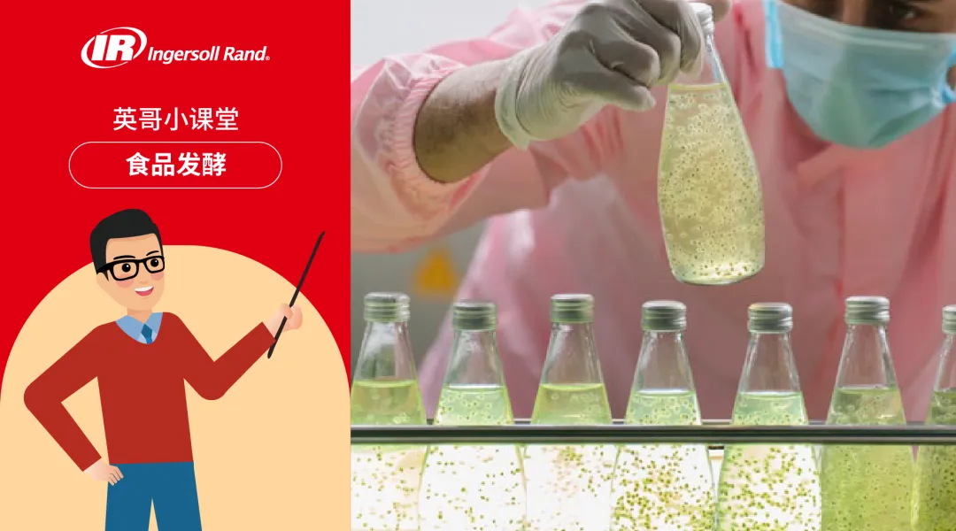 食品发酵